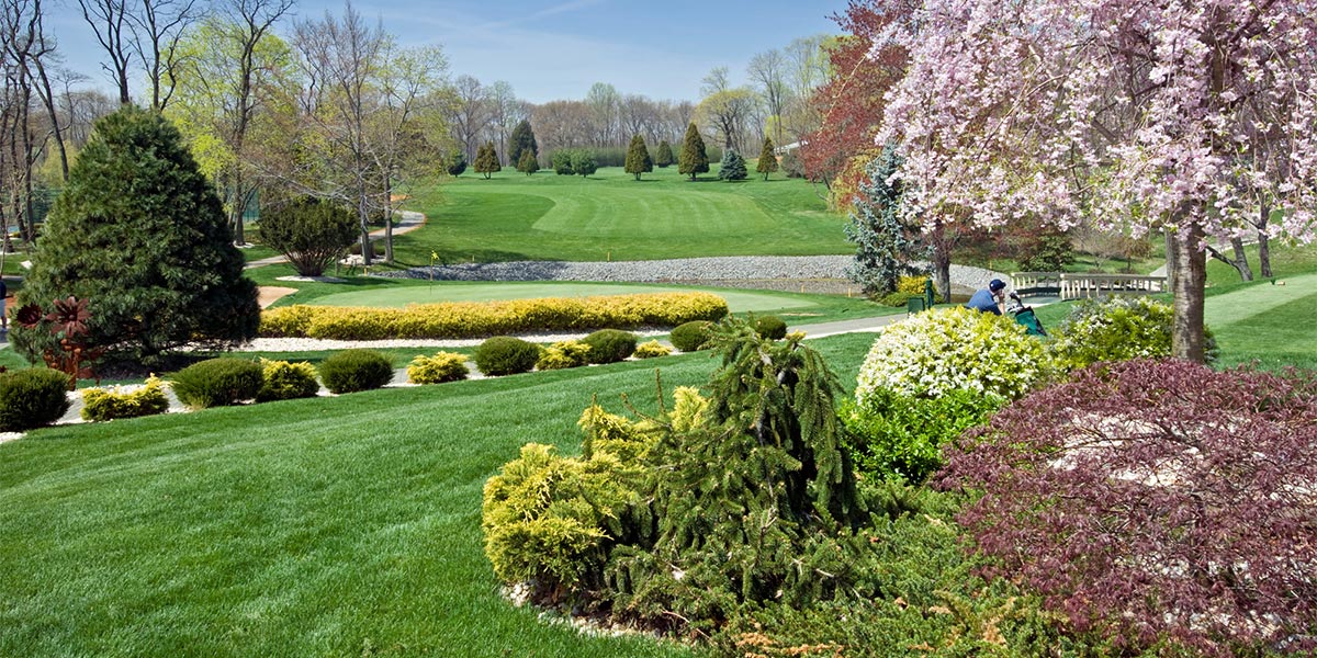 Turf & Ornamentals