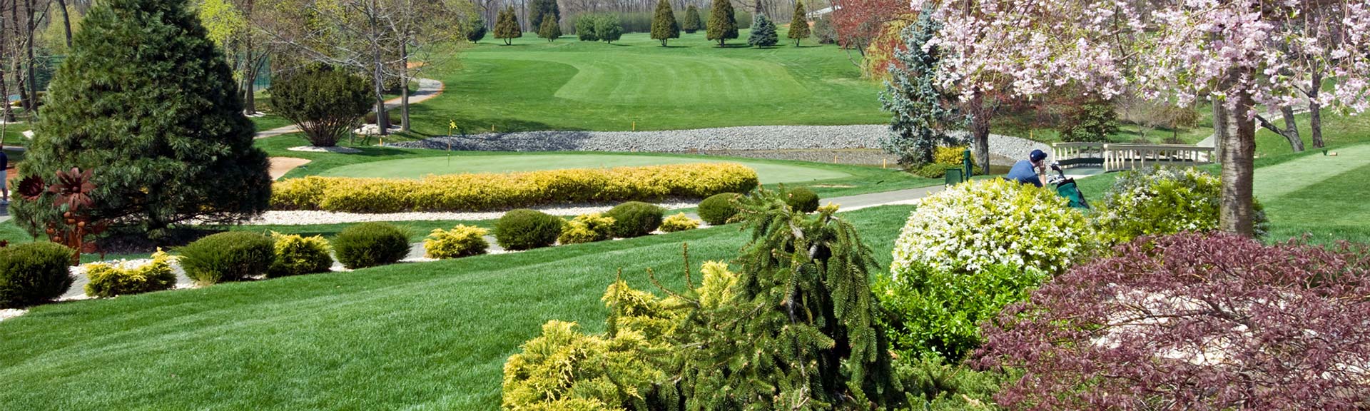 Turf and Ornamentals
