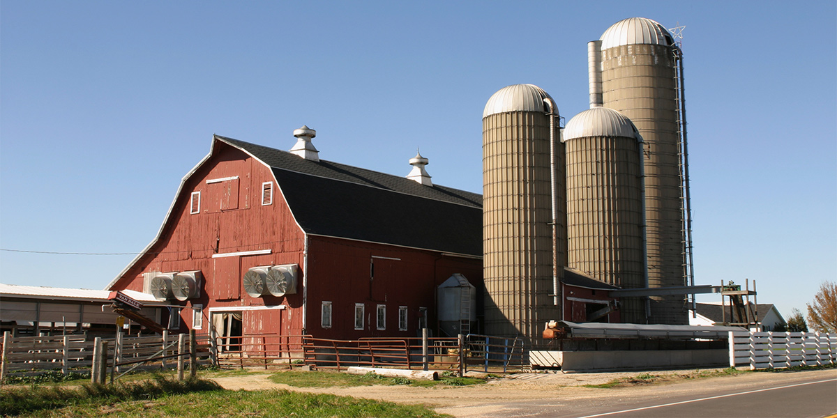 Poultry and Livestock