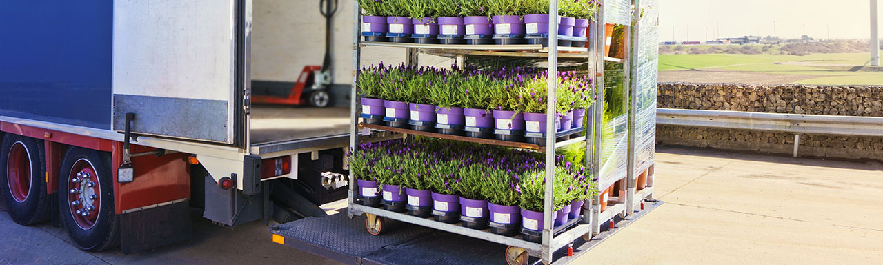 Pesticide Treatment of an Enclosed Cargo Area